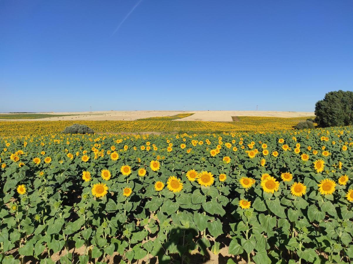 Vinarius, Posada Rural Castellanos de Villiquera 外观 照片